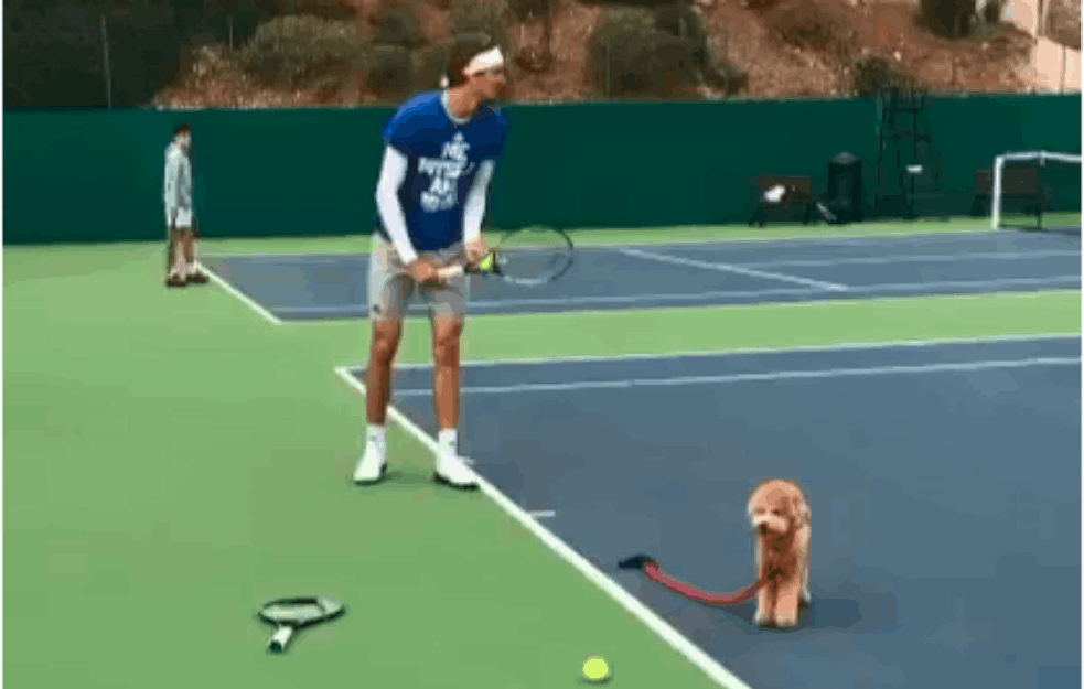 ZVEREV angažovao PSA kao novog TRENERA u timu: 'On će preuzeti veću ulogu u mojoj karijeri'! (VIDEO)



